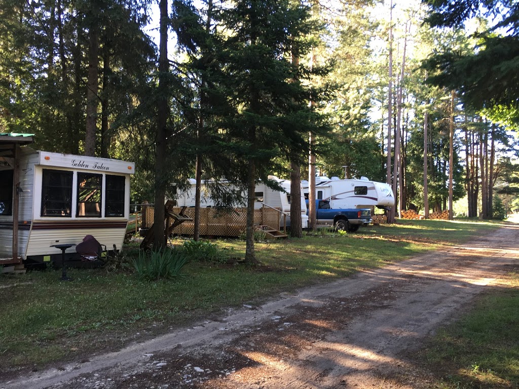 Cedar Pines RV Park | 403541, Grey County Rd 4, Priceville, ON N0C 1K0, Canada | Phone: (289) 339-0788