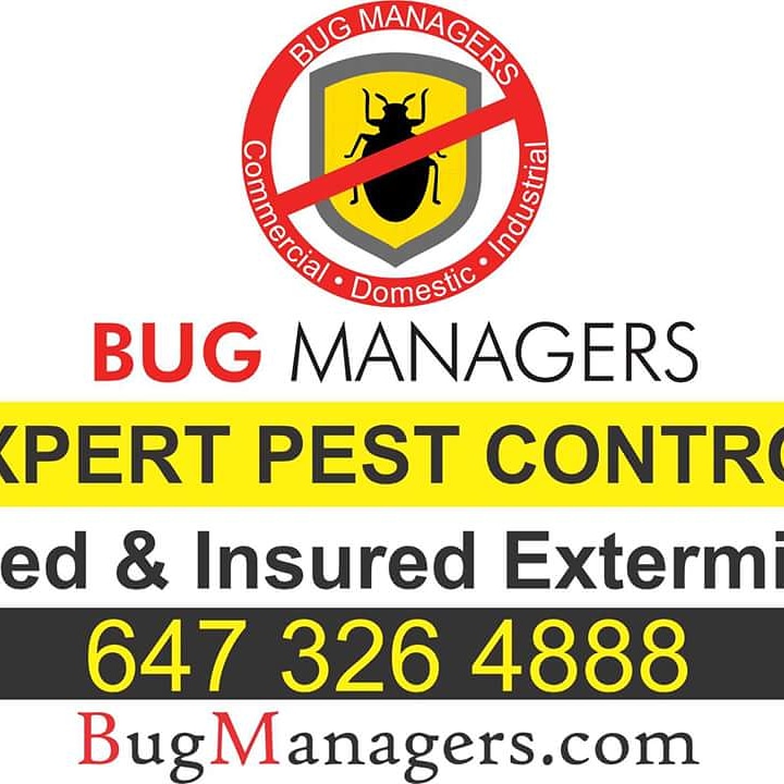 Bug Managers | 8 Oaklea Blvd, Brampton, ON L6Y 4G7, Canada | Phone: (647) 764-2353