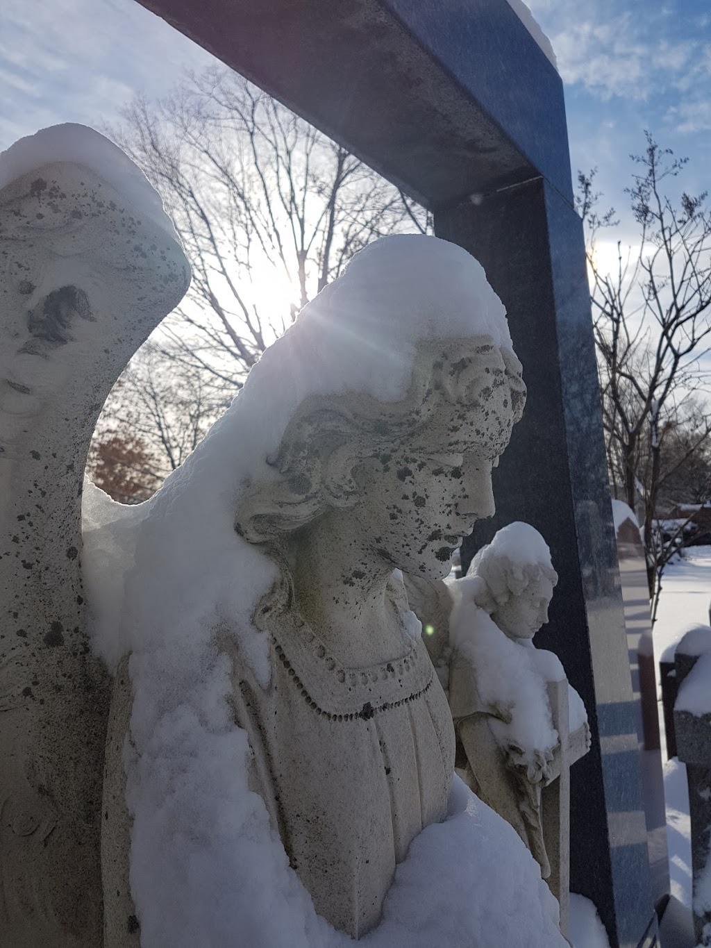 Cimetière de lETA l | 6700 Rue Beaubien E, Montréal, QC H1M 3E3, Canada