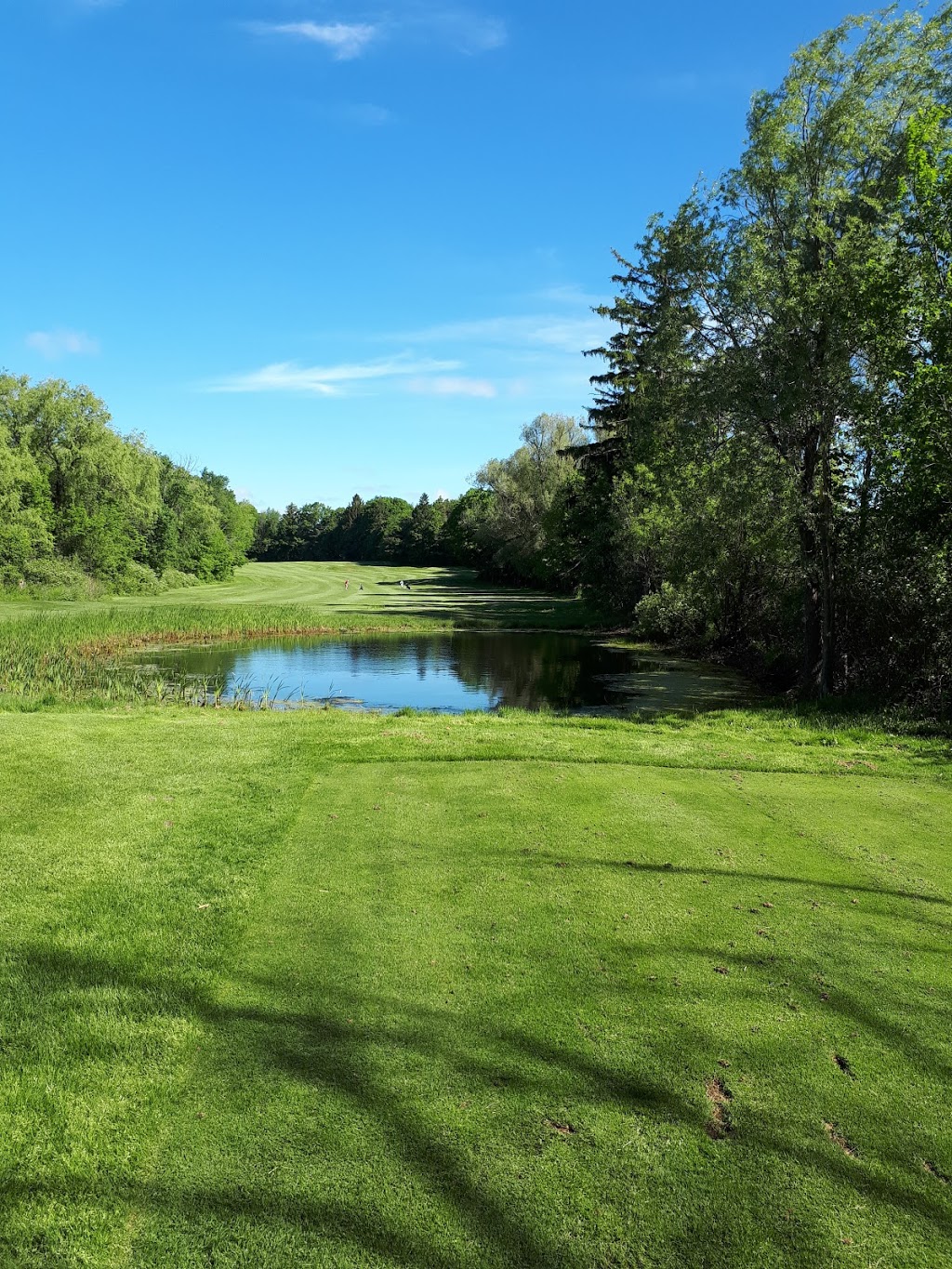 Allandale Golf Course | 3699 20th Sideroad, Innisfil, ON L9S 2X8, Canada | Phone: (705) 722-0404