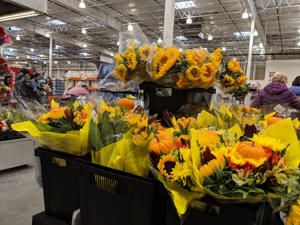 Costco Wholesale | 2365 McGillivray Blvd, Winnipeg, MB R3Y 0A1, Canada | Phone: (204) 487-5100