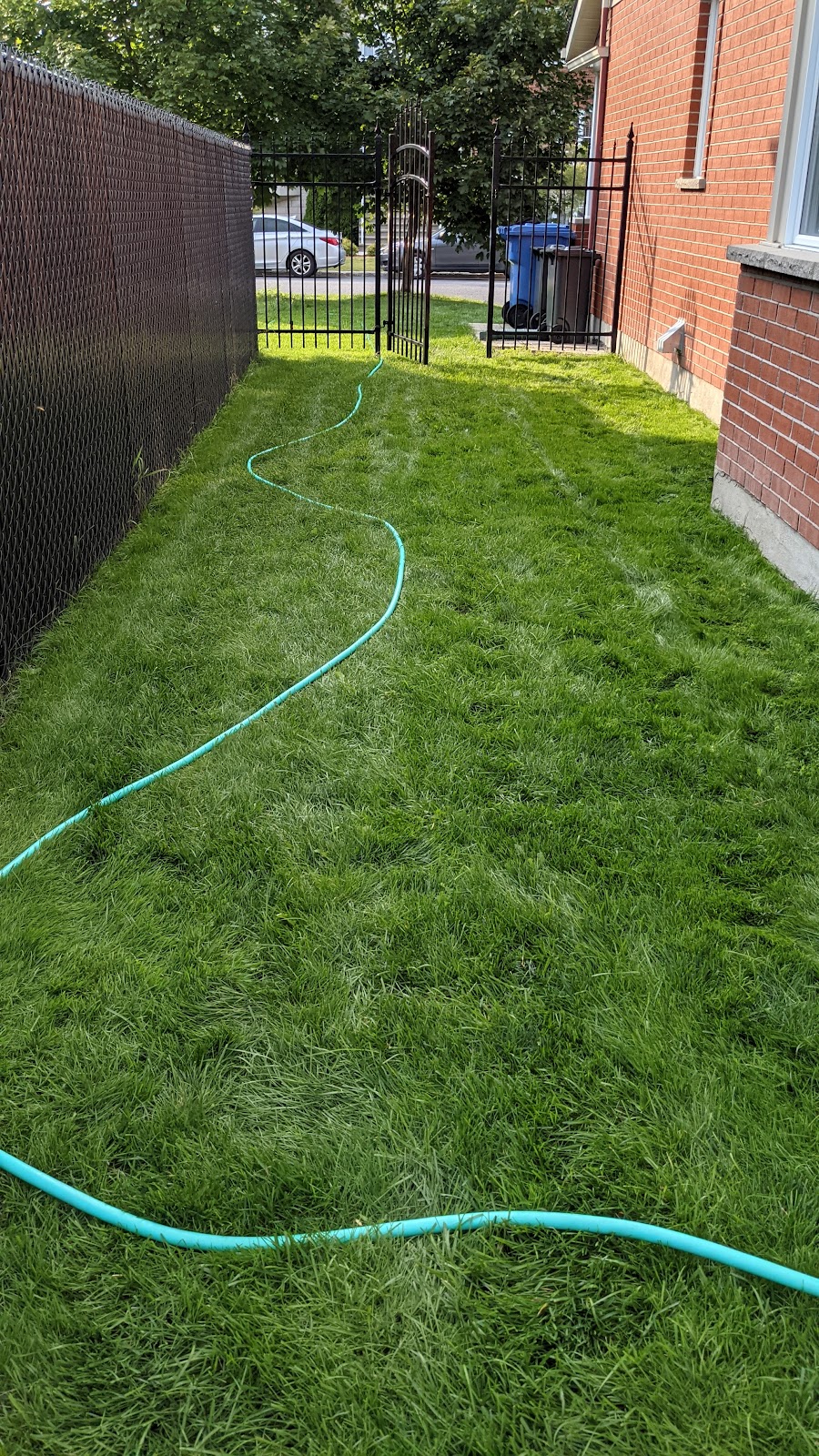 Pro-Lawn Companies | 7935 Av. Naples, Brossard, QC J4Y 1V8, Canada | Phone: (514) 865-2561