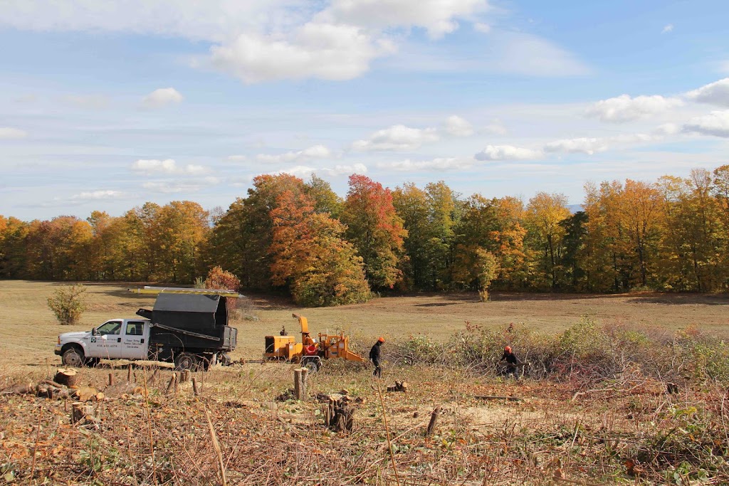 Coop de larbre | 63 Rue Ambroise Fafard, Baie-Saint-Paul, QC G3Z 2J7, Canada | Phone: (418) 633-6574