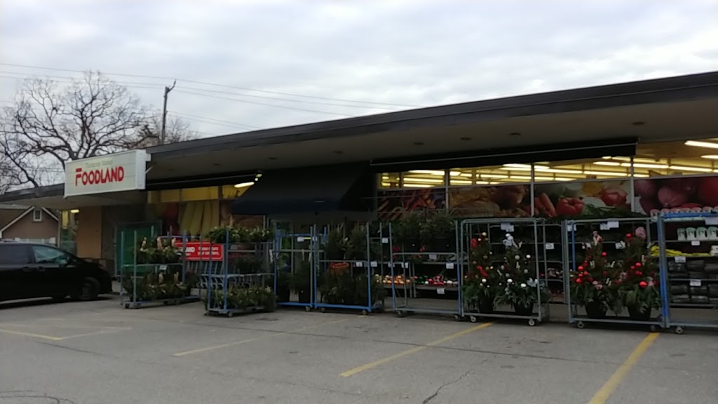 Foodland - Toronto | 1500 Islington Ave, Etobicoke, ON M9A 3L8, Canada | Phone: (416) 233-0621