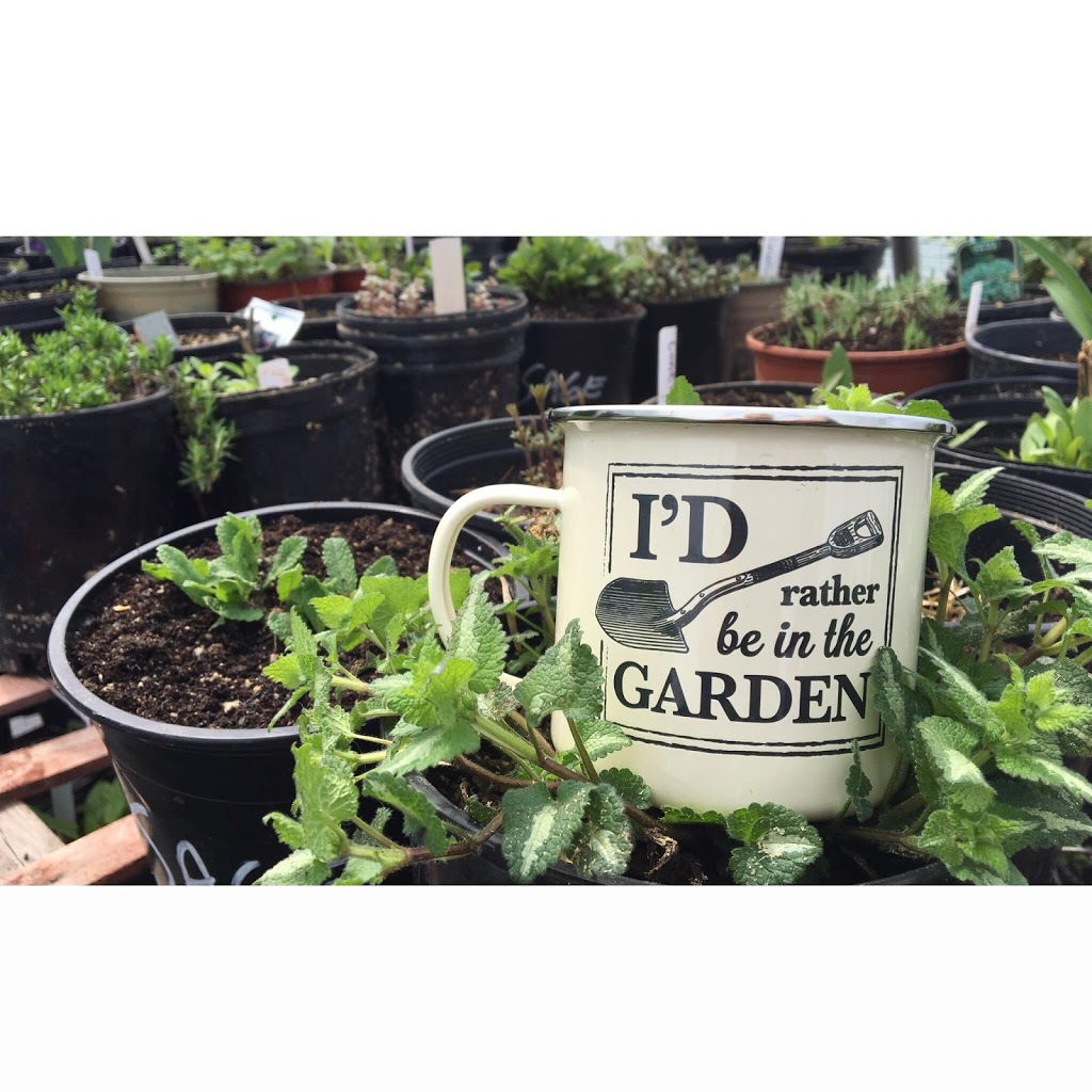 Judys Plants and Garden Centre | 765 Bains Rd, Cayuga, ON N0A 1E0, Canada | Phone: (289) 683-7490