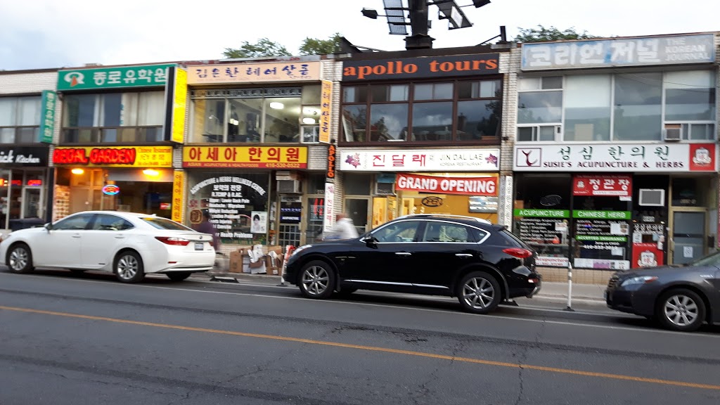 Apollo Tours | 484 Danforth Ave, Toronto, ON M4K 1P6, Canada | Phone: (416) 536-2114