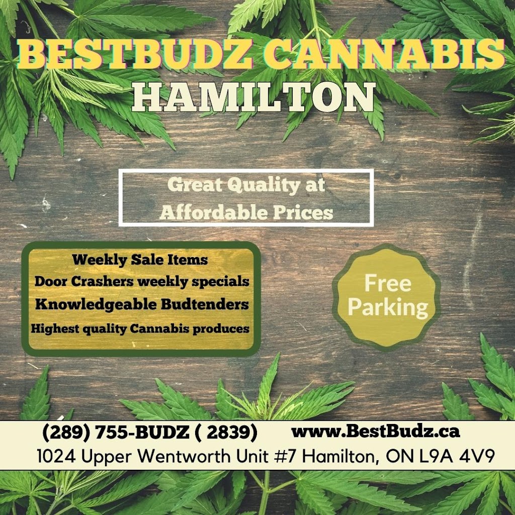 BestBudz Cannabis Store | 1024 Upper Wentworth St Unit #7, Hamilton, ON L9A 4V9, Canada | Phone: (289) 755-2839