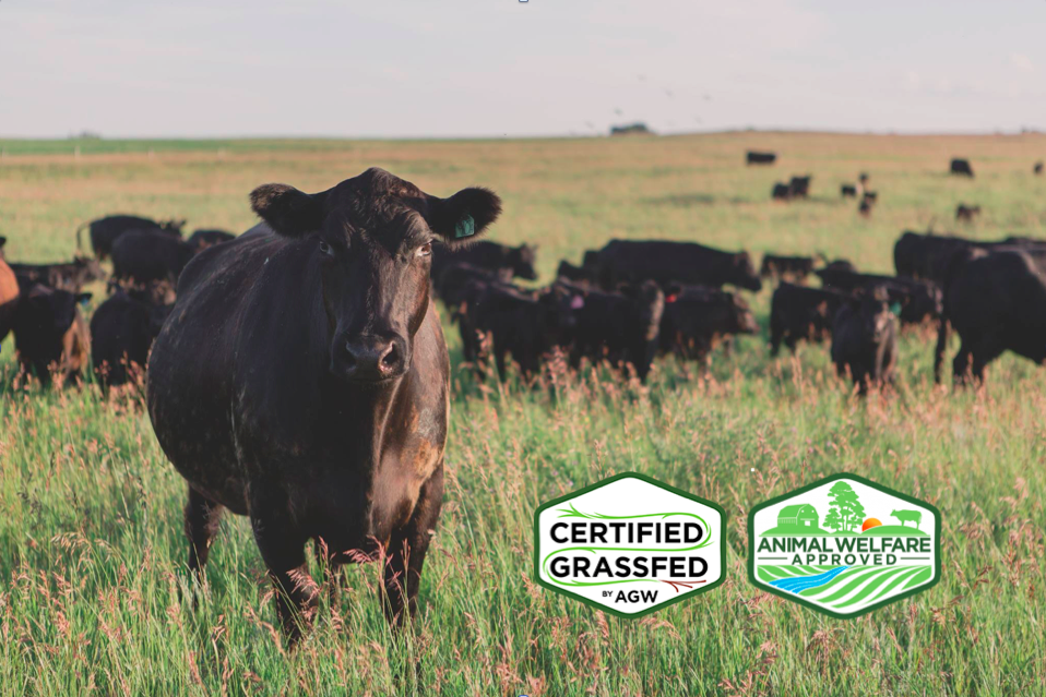 Flaghill Ranch Grass Fed Beef | NE 12 33, 17, Craigmyle, AB T0J 0T0, Canada | Phone: (403) 857-8016