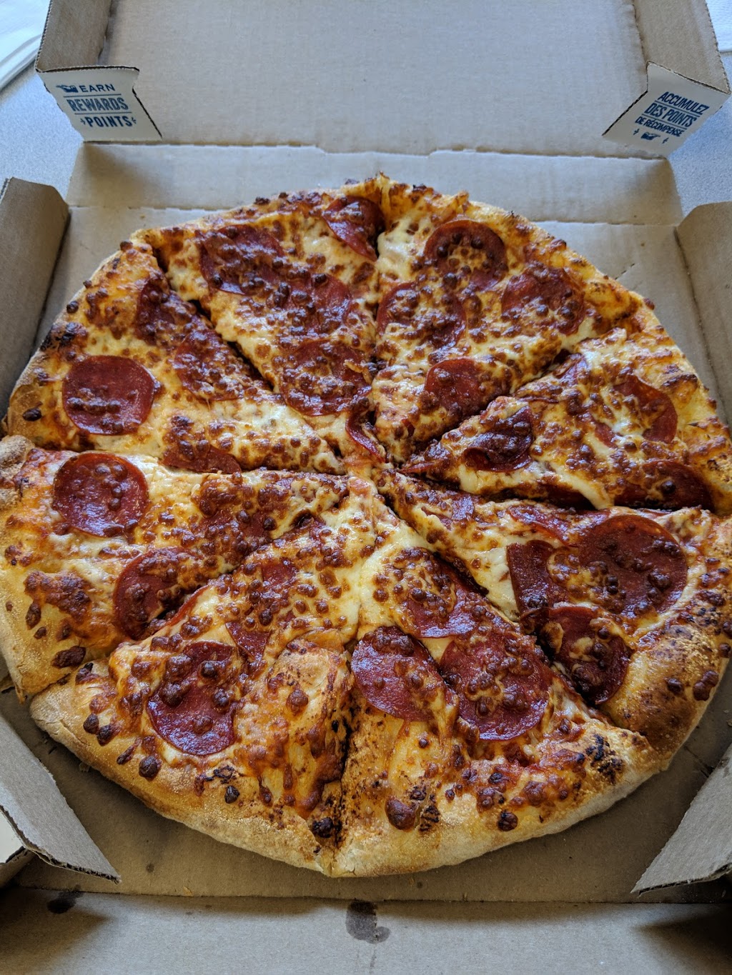 Dominos | 325 Max Becker Dr Unit #110, Kitchener, ON N2E 4H5, Canada | Phone: (519) 749-0120