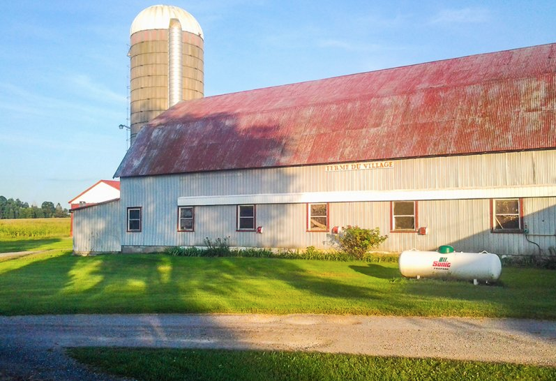 Ferme Richard Cazelais - Veau de Grain | 3 Rue Cazelais, Saint-Étienne-de-Beauharnois, QC J0S 1S0, Canada | Phone: (514) 231-8529