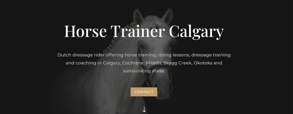 Horse Trainer Calgary | 7 Squirrel Crescent #1394, Bragg Creek, AB T0L 0K0, Canada | Phone: (587) 287-6848