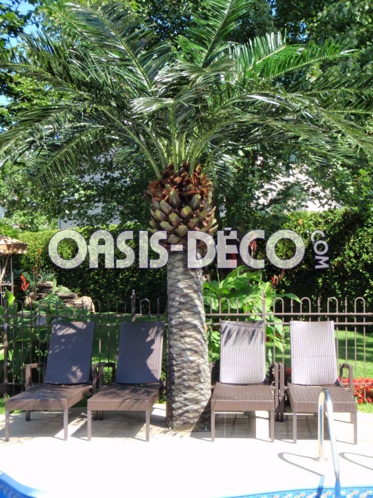 Oasis-Deco = Chute pour piscine / pool waterfall / Palmier palm  | 742 Boulevard Industriel #104, Blainville, QC J7C 3V4, Canada | Phone: (514) 248-0928