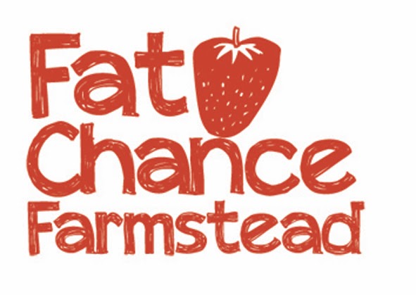 Fat Chance Farmstead, Kingston CSA Farm, Organic Strawberries | 3711 County Rd 38, Harrowsmith, ON K0H 1V0, Canada | Phone: (613) 539-5569