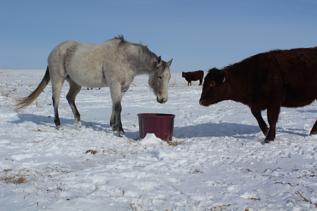 OLS Tubs | 814 14 St, Fort Macleod, AB T0L 0Z0, Canada | Phone: (403) 553-3775