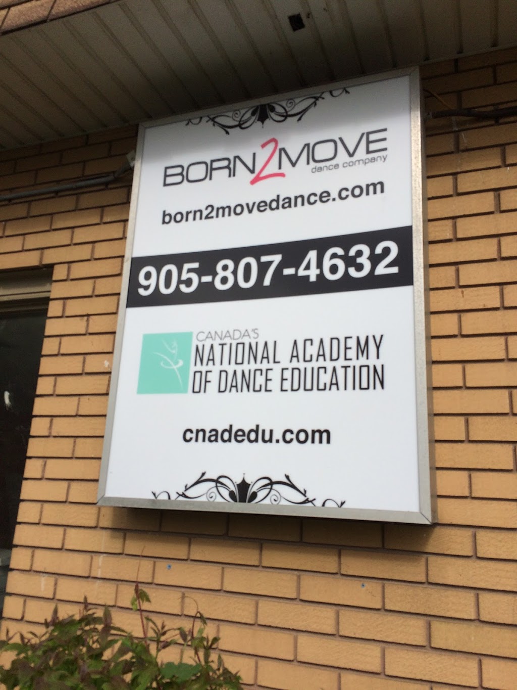 Canadas National Academy of Dance Education | 2481 Upper James St Unit #4, Mount Hope, ON L0R 1W0, Canada | Phone: (905) 807-4632
