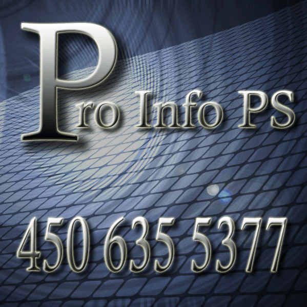 Pro Info PS | 19 Rue Delage, Saint-Constant, QC J5A 1Z3, Canada | Phone: (450) 635-5377