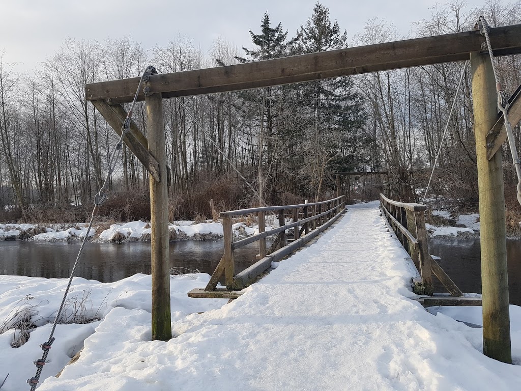 Still Creek | Still Creek trail, Burnaby, BC V5C 6C6, Canada