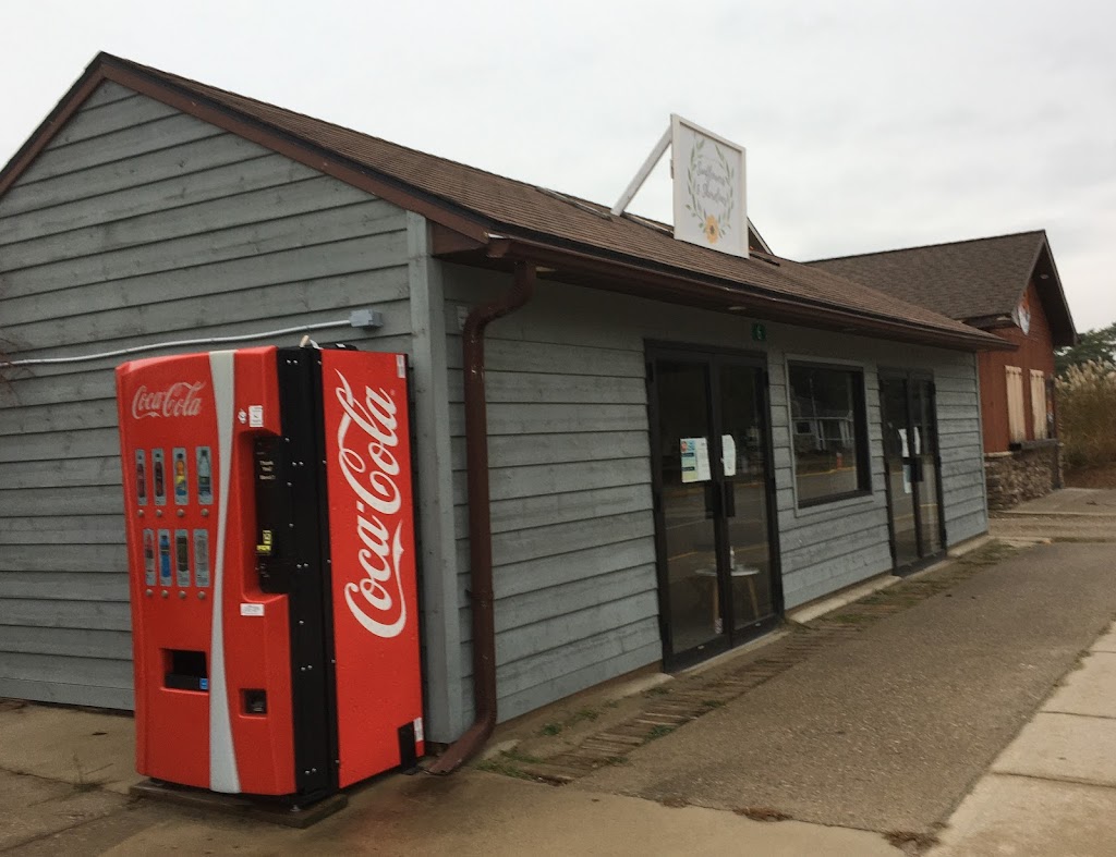 Sunflowers & Shorelines | 6 2nd Ave N, Sauble Beach, ON N0H 2G0, Canada | Phone: (519) 377-5905