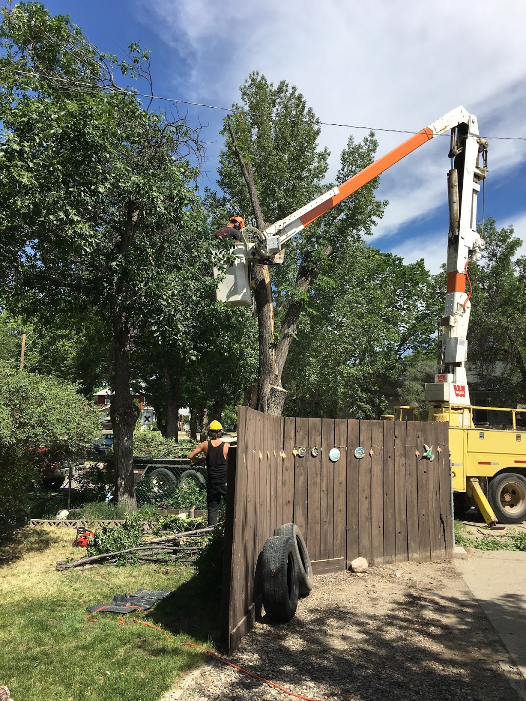 A-1 Tree Service | 1009 Carleton St, Moose Jaw, SK S6H 3A3, Canada | Phone: (306) 692-6701