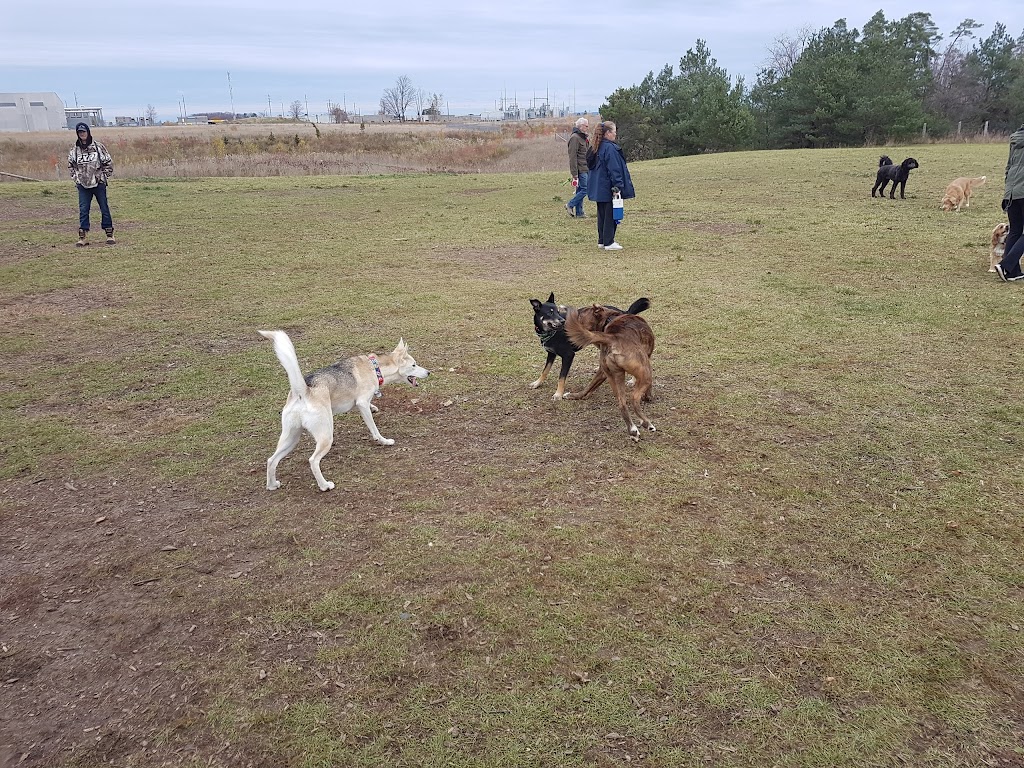 Barrie Dog Off Leash Recreation Area | 150 Mapleview Dr E #152, Barrie, ON L4N 0S5, Canada | Phone: (705) 726-4242