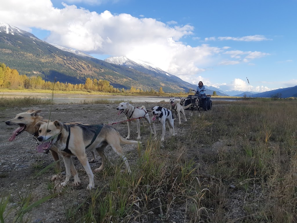 Revelstoke Dogsled Adventures | 1416 Mt Begbie Rd, Revelstoke, BC V0E 3K0, Canada | Phone: (250) 814-3720