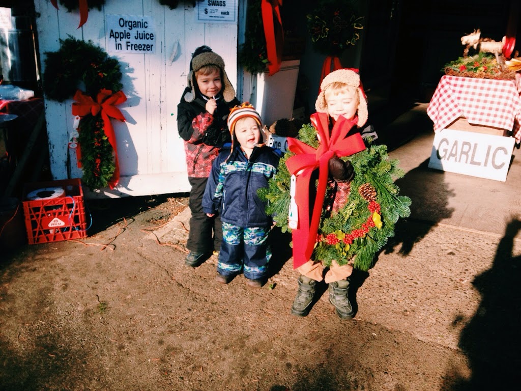 Saanichton Christmas Tree Farm | 8231 E Saanich Rd, Saanichton, BC V8M 1T5, Canada | Phone: (250) 652-3345