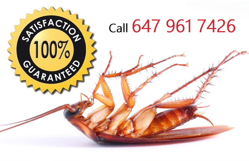 Ensure Pest Control Inc. | 2247 Hurontario St, Mississauga, ON L5A 2G2, Canada | Phone: (647) 961-7426