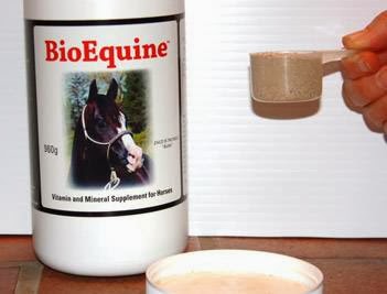 BioEquine Animal Supplements | 31319 Range Road 55, County Mountain View, Box 35, Site 2, RR 2, Sundre, AB T0M 1X0, Canada | Phone: (403) 638-3356