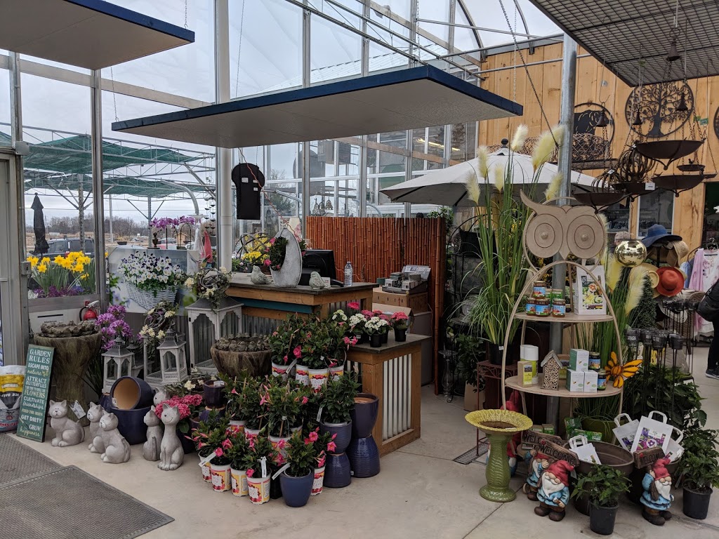 Royal City Nursery | 6838 Wellington Rd 124, Guelph, ON N1H 6J4, Canada | Phone: (519) 824-4998