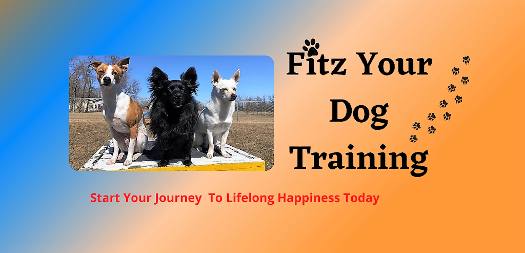 Fitz Your Dog Training, Family Dog Mediator ® | Box 544, 139 Strollway St, Winnipeg Beach, MB R0C 3G0, Canada | Phone: (204) 291-6723