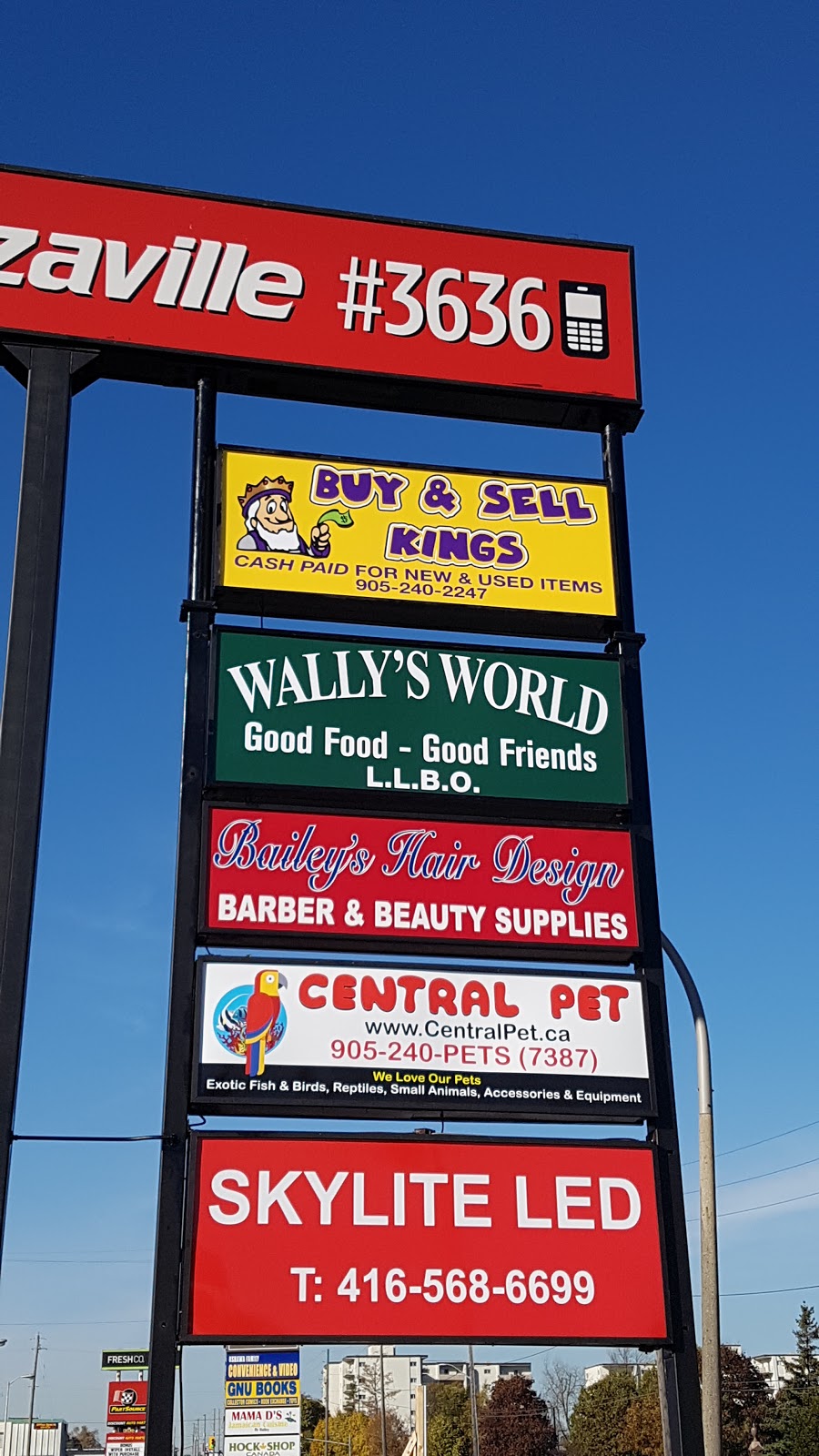 Buy & Sell Kings | 1100 Simcoe St N Unit 1, Oshawa, ON L1G 4W6, Canada | Phone: (905) 240-2247