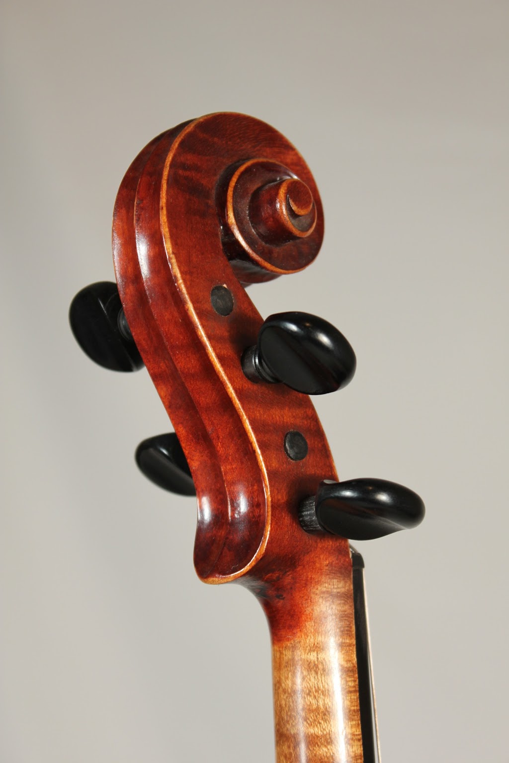 Riedstras Violin Shop Inc | 38 Neal Ave, Stratford, ON N5A 6W8, Canada | Phone: (519) 273-4082