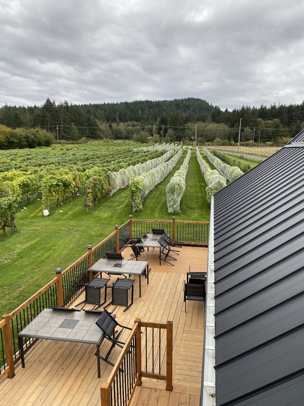 Isla de Lerena Vineyard | 1885 Central Rd, Hornby Island, BC V0R 1Z0, Canada | Phone: (250) 335-2491