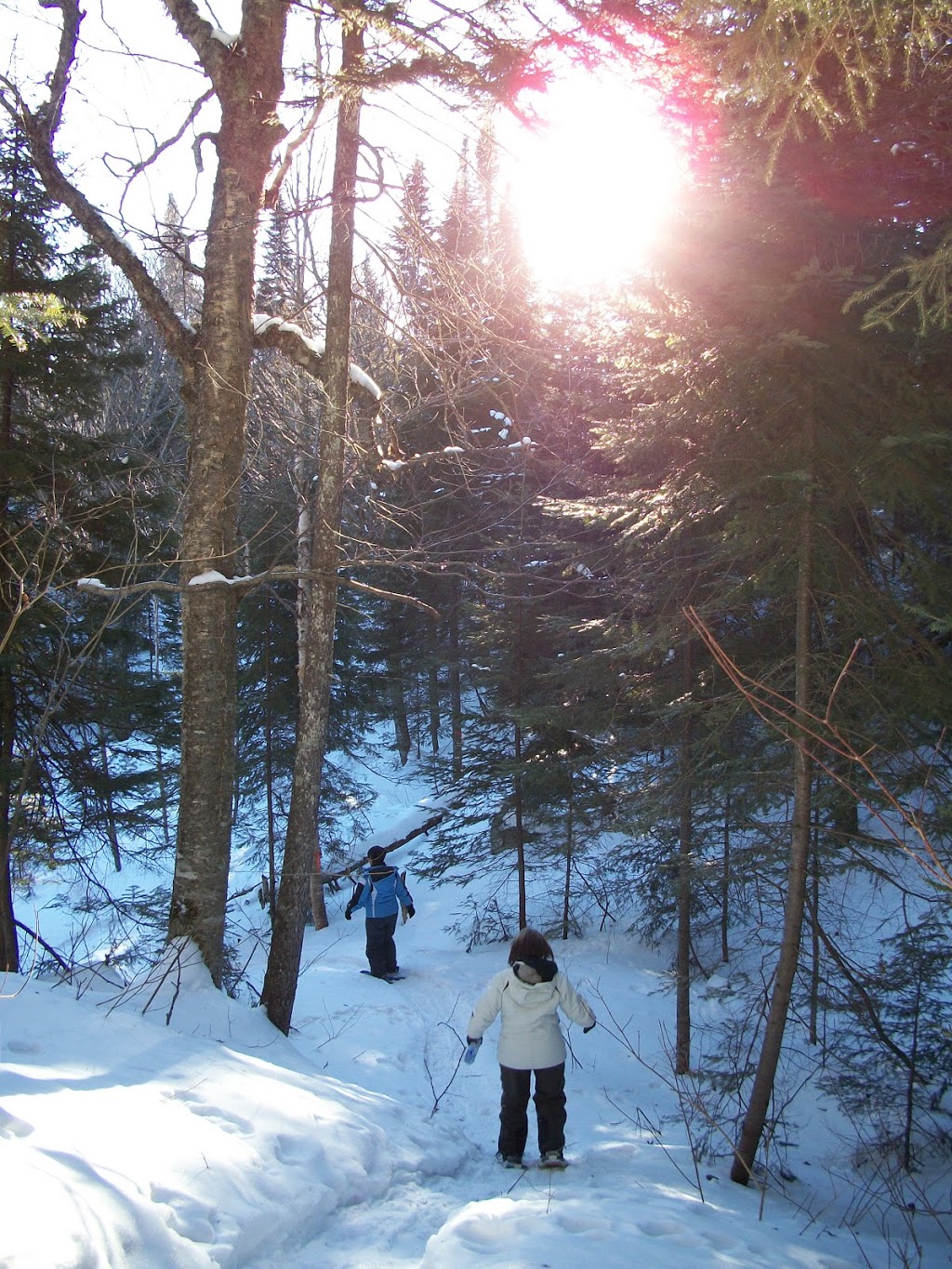 Pourvoirie Domaine Bazinet | 3000 Chemin Bazinet, Sainte-Émélie-de-lÉnergie, QC J0K 2K0, Canada | Phone: (450) 886-4444