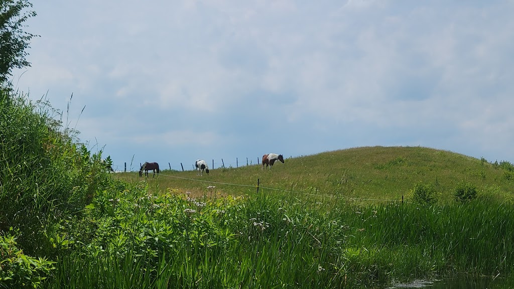 Equi-Sens centre équestre thérapeutique | 20661 Rue Victor, Mirabel, QC J7J 1P4, Canada | Phone: (450) 325-7367