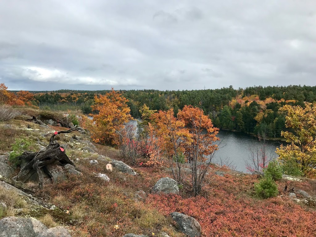 Lake of the Woods Trailhead | Bell Lake Rd, Killarney, ON P0M 2M0, Canada