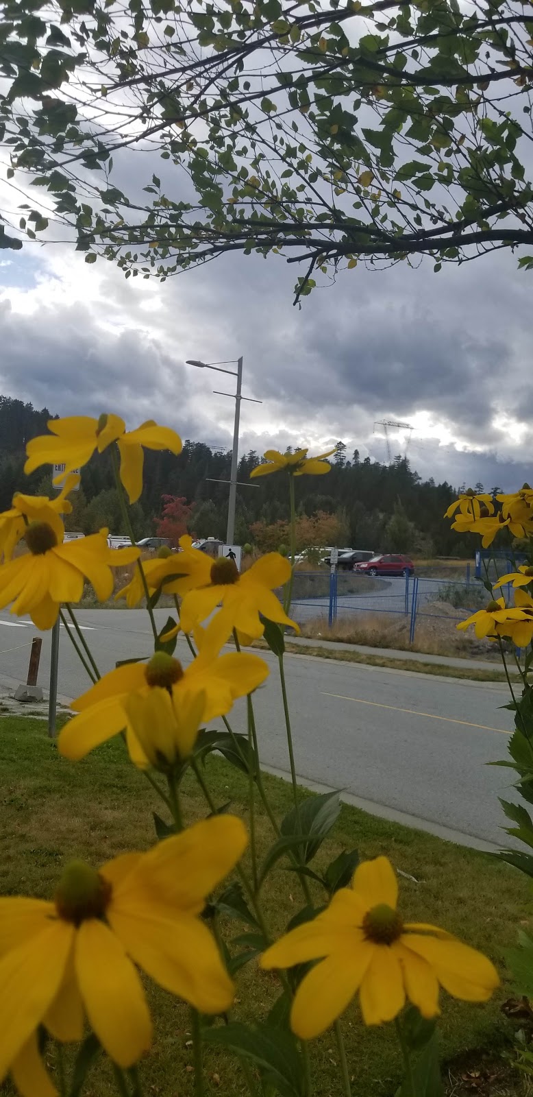 Whistler Gymnastics Club | 1090 Legacy Way, Whistler, BC V0N 1B1, Canada | Phone: (604) 902-3547