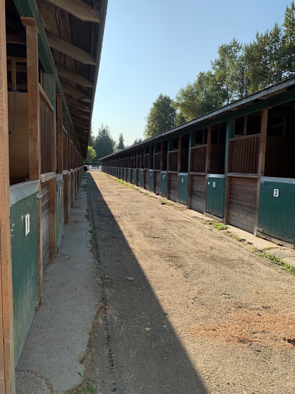 North Fraser Therapeutic Riding Association | 13345 Park Ln, Maple Ridge, BC V4R 2T1, Canada | Phone: (604) 462-7786