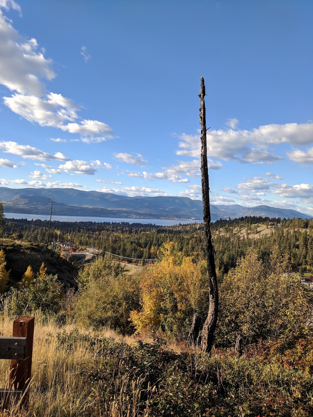 Ponds Community Park | 1213 Frost Rd, Kelowna, BC V1W 4P1, Canada