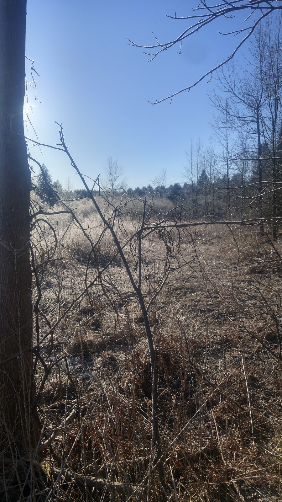 Grange Public Land | 32 Cardwell St, Alton, ON L7K 0E2, Canada