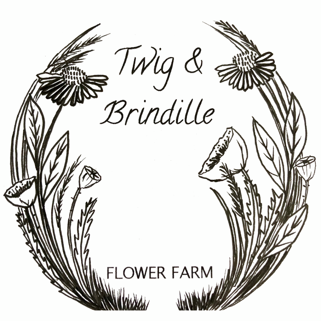 Twig & Brindille Flower Farm | 423475 conc road, 6, Markdale, ON N0C 1H0, Canada | Phone: (226) 668-9181