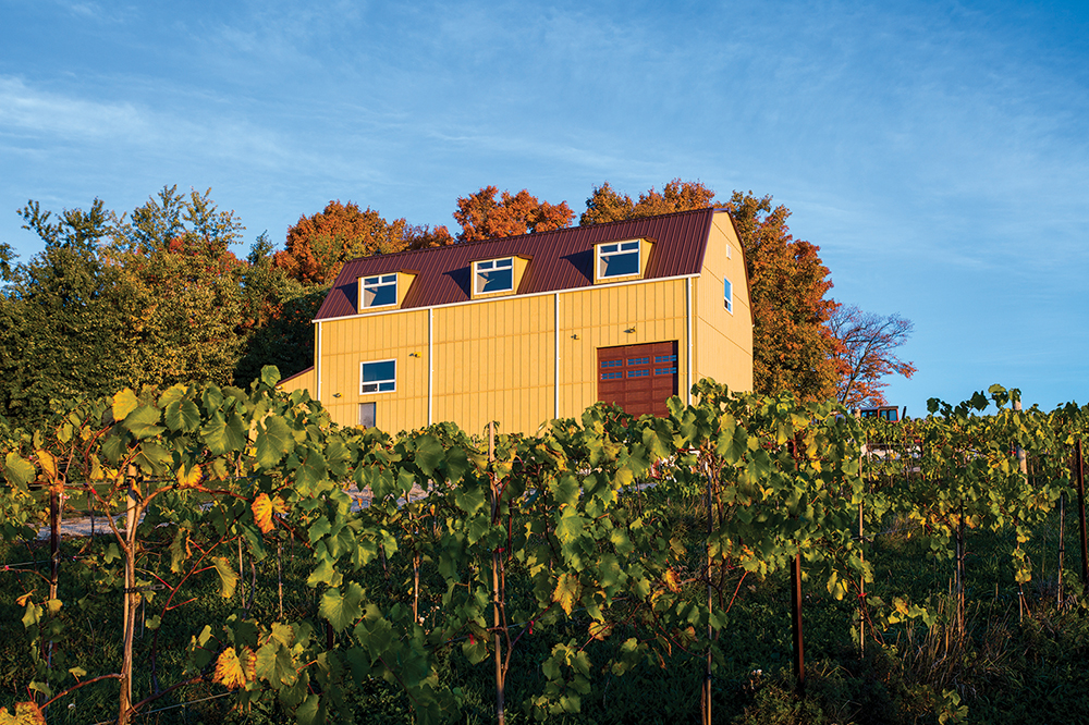 Creemore Hills Winery | 2607 Concession Rd 5, Creemore, ON L0M 1G0, Canada | Phone: (647) 588-8931