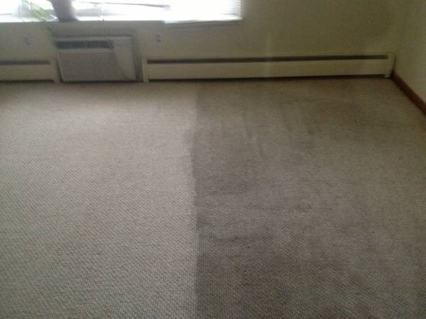 Edmonton Carpet Cleaning Services | 4504 81 Ave NW, Edmonton, AB T6B 2M2, Canada | Phone: (780) 250-1515