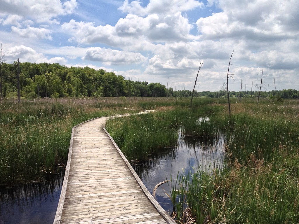 Valens Lake Conservation Area | 1691 Regional 97 Rd, Cambridge, ON N1R 5S7, Canada | Phone: (905) 525-2183