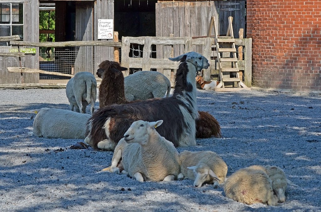 La Ferme dAndré 2.0 inc. | 1082 Chem. Upper Concession, Ormstown, QC J0S 1K0, Canada | Phone: (450) 829-2940