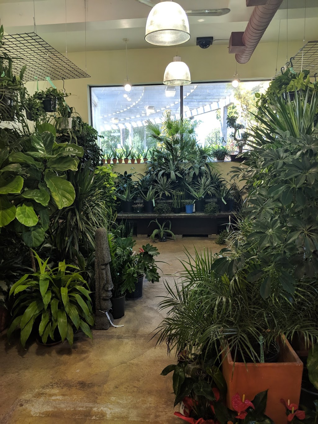 Davenport Garden Centre | 368 Davenport Rd, Toronto, ON M5R 1K6, Canada | Phone: (416) 929-7222