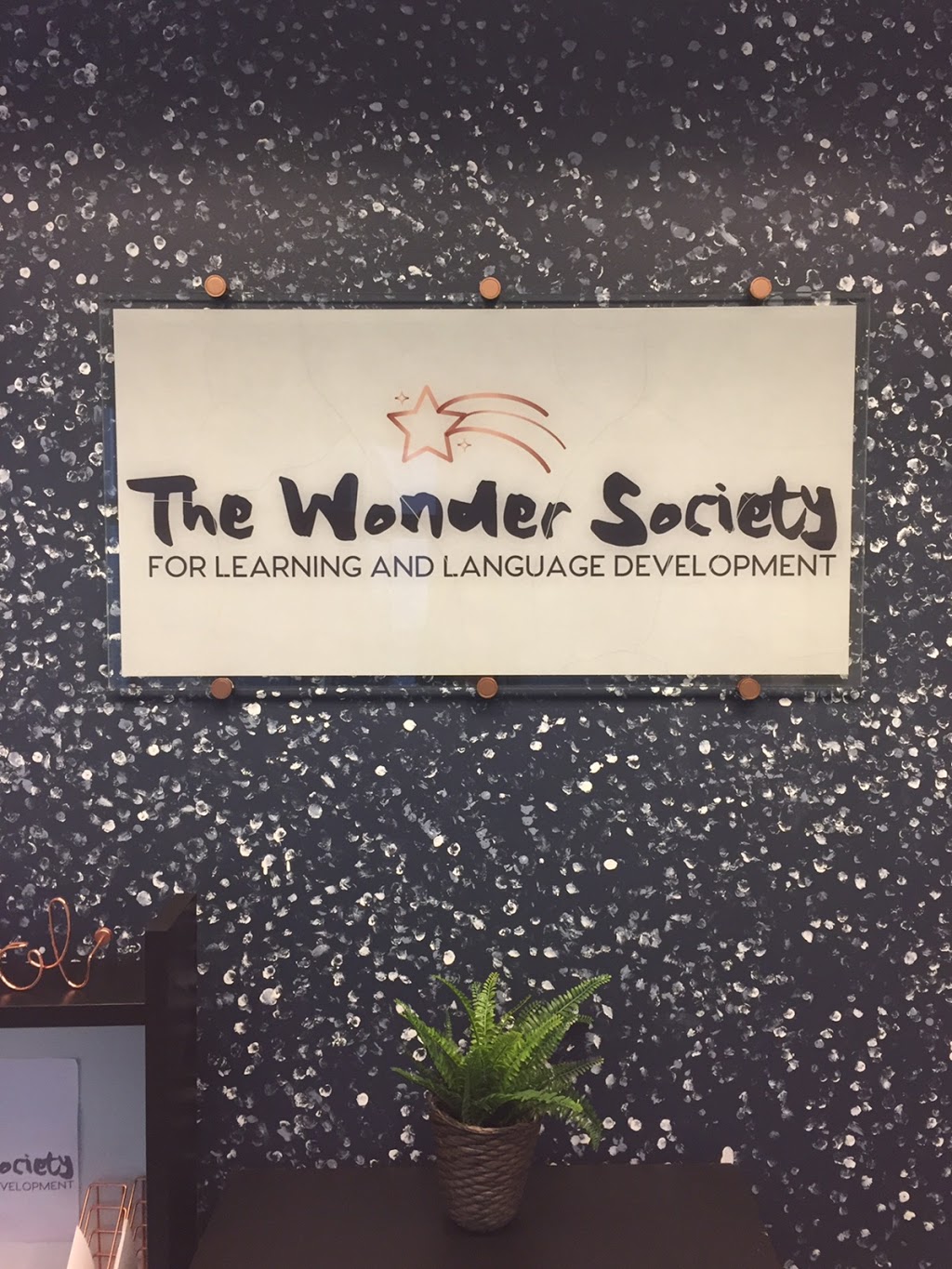 The Wonder Society for Learning and Language Development | 104 1250 Dominion Ave, Port Coquitlam, BC V3B 8G7, Canada | Phone: (604) 341-5774