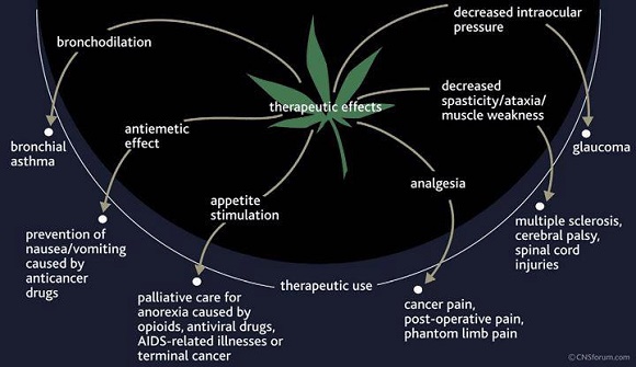 Centre Recherche Cannabis | 559 Rte Barette, Notre-Dame-des-Prairies, QC J6E 0M1, Canada | Phone: (450) 752-8282