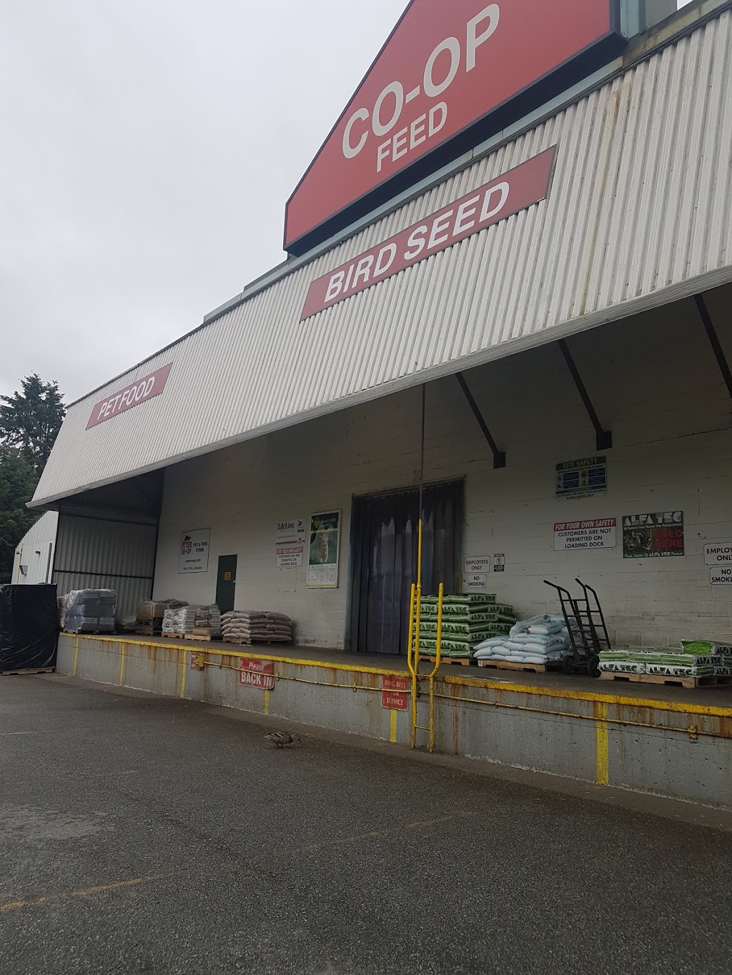 Co-op, Aldergrove Feed Mill | 3548 248 St a, Langley City, BC V4W 1Y8, Canada | Phone: (604) 856-2517