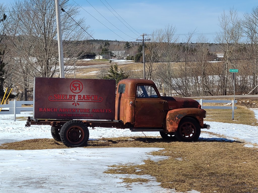 Shelby Ranch | 753 Durham Rd, Scotsburn, NS B0K 1R0, Canada | Phone: (902) 957-7433